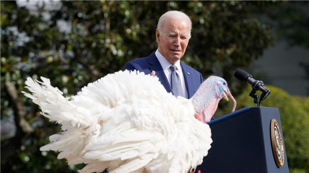 Joe Biden begnadigt die Thanksgiving-Truthähne „Liberty“ und „Bell“.