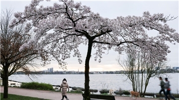 Jogger und Spaziergänger sind am Morgen an der Alster unterwegs.