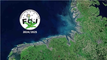 Junge Menschen, die sich für Natur und Umwelt einsetzen möchten, finden im Nationalpark Niedersächsisches Wattenmeer gut 30 FÖJ-Stellen zur Auswahl. 