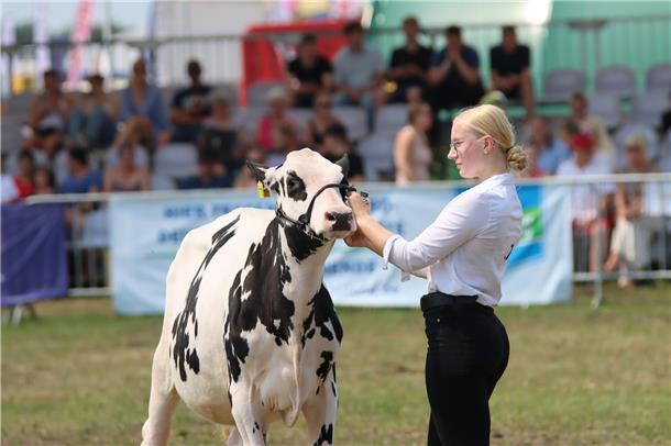 Jungzüchter messen sich im Landwirtschaftsring.