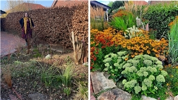 Beet Ende März im Vergleich zur vollen Blüte im Sommer.