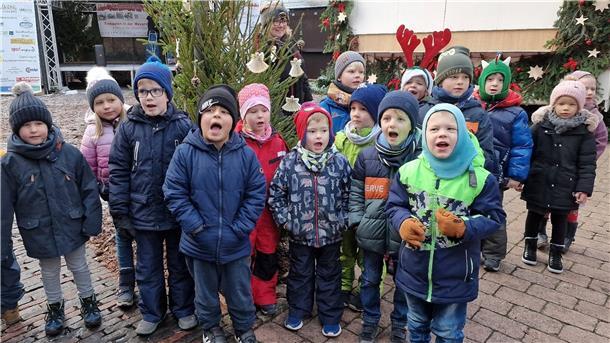 Kita-Kinder hatten bereits im Vorfeld Weihnachtsschmuck gebastelt, mit dem sie die in der Innenstadt aufgestellten Tannen schmückten.