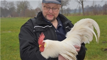 Klaus Gleibs mit einem Leghorn-Hahn im Arm. 
