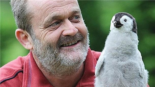 KuH hat den einzigen Pinguin-Experten Deutschlands zu Besuch Klemens Pütz Pinguin-Experten