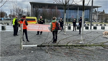 Klimaschutz-Demonstranten stehen an einem gefällten Baum am Bundeskanzleramt.