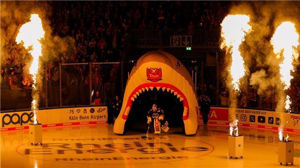 Bilder des Tages Kölns Torwart Felix Brückmann fährt auf das Eis der Lanxess Arena-