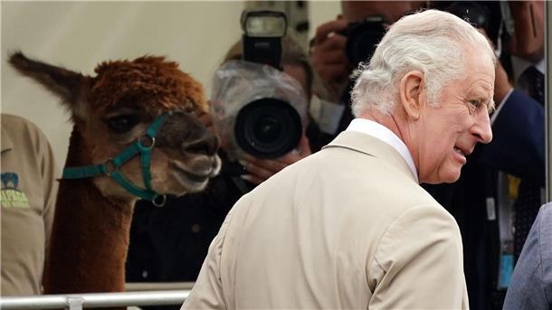 König Charles darf sich auf Geldsegen freuen König Charles III. hat viel Geld zur Verfügung.