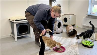 Traumjob mit Beeinträchtigung: Eine Kooperation macht’s für Cuxländerin möglich Eine Frau mit blonden langen Haaren im Pferdeschwanz füttert Katzen.