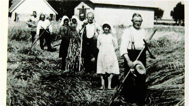 Kornernte mit der ganzen Familie 1930