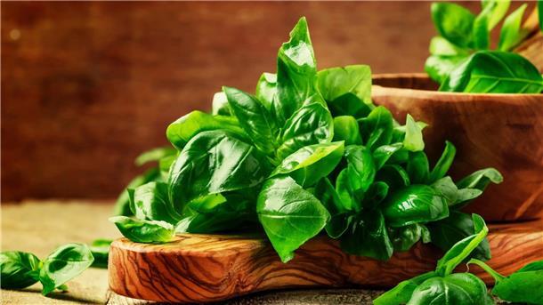 Kochen für Einsteiger – Tipps und Ideen Basilikum
