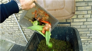 Küchenabfälle und Grünschnitt sind Beispiele dafür, was in die Biotonne gehört.