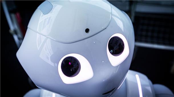 Künstliche Intelligenz - hier Der Pepper-Roboter der Firma Aldebaran Robotics für die Betreuung von Schlaganfallpatienten - findet auch in Kunst und Literatur immer häufiger Anwendung. Ein Vortrag von Professorin Stephanie Catani von der Uni Würzburg vor der Nordenhamer Goethe-Gesellschaft zu diesem Thema stießt auf großes Interesse.