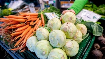  Kohlrabi und Karotten stehen an einem Obst- und Gemüsestand auf einem Wochenmarkt zum Verkauf. 