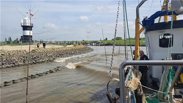 Kutter „Claudia“: Die besten Fotos von der Fangfahrt für den Krabbentag Kutter „Claudia“ liegt im Kutterhafen Wremen.