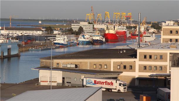 Kutterfisch und die Deutsche Fischfang-Union kämpfen weiterhin mit den Auswirkungen des Fischereistreits mit Norwegen