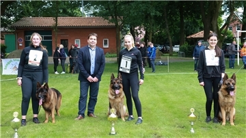 Menschen und Hunde