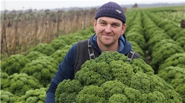 Landwirt Hanke Hotes aus Wurthfleth baut auf seinem Land unter anderem Grünkohl an.