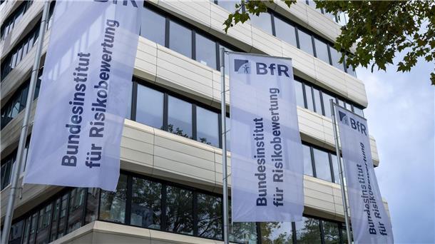 Bundesinstitut warnt vor Koffeinpulver Laut dem Bundesinstitut für Risikobewertung sind 5 bis 10 Gramm Koffein-Pulver bereits potenziell tödlich. (Archivbild)