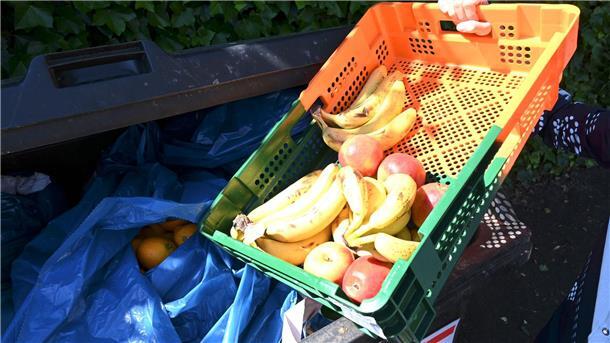 Lebensmittel aus Müllcontainern retten Lebensmittel vom Supermarkt landen manchmal in einem Müllcontainer.