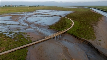 Langwarder Groden