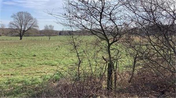 Leherheide bekommt sein neues Landschaftsschutzgebiet Leherheide bekommt endlich sein neues Landschaftsschutzgebiet. Dafür hat nun der Bauausschuss den Weg frei gemacht.