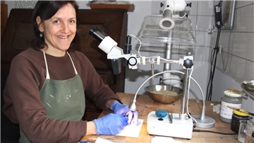 Lena Geidner am Mikroskop in ihrer Werkstatt für Restaurierung in Vorwerk.