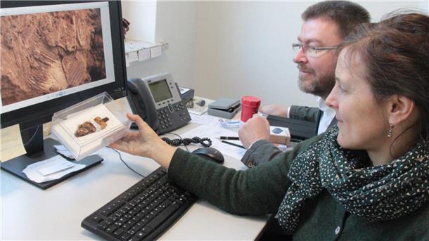Bei der Archäologie kommt es auf die richtige Lagerung an Lena Geidner, Restauratorin der Rotenburger Kreisarchäologie, und Dr. Stefan Hesse, Leiter der Kreisarchäologie, mit einem Fund.