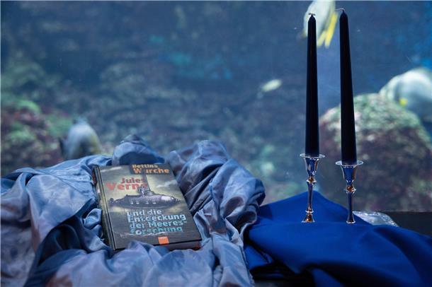 Das ist am Wochenende in Bremerhaven und dem Landkreis Cuxhaven los Steht im Zentrum einer ungewöhnlichen Wissenschaftsveranstaltung: Neuerscheinung von Bettina Wurche zum Jules Verne Klassiker „20.000 Meilen unter dem Meer“