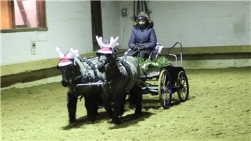 Letzte Proben mit der Pony-Kutsche für das Schaubild in Hannover.