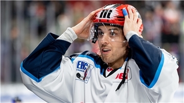 Liga-Topscorer Jeremy Williams von den Straubing Tigers.