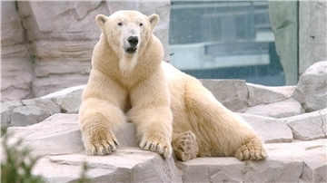 Lloyd war viele Jahre ein Besuchermagnet im Zoo am Meer in Bremerhaven.