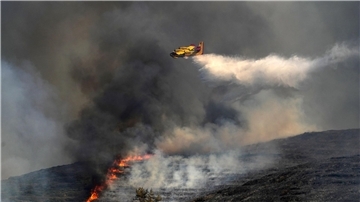 Löschflugzeug im Einsatz gegen die Flammen in Griechenland. (Symbolbild)