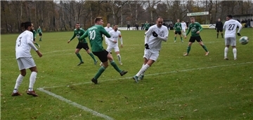 Lucas Heins