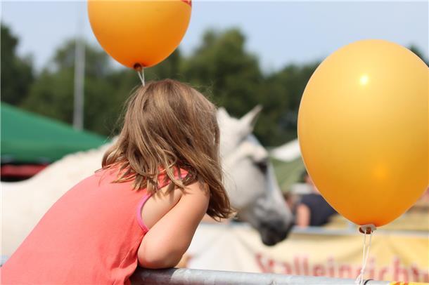 Luftballons, Sonnenschein und Pferde: Die Tarmstedter Ausstellung ist ein Fest f...