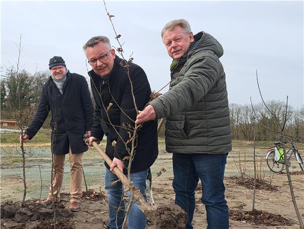 Lutz Mertens, Andreas Wittenberg und Heinz Bühring (von links) beim Fototermin für die Strauchpflanzung in der Schatzgrube Weißenberg.