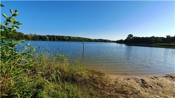 Ein Badesee umgeben von Grün.