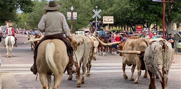 Grußbrücke: Nach Shanghai nun frische Bergluft genießen Fort Worth Stockyards