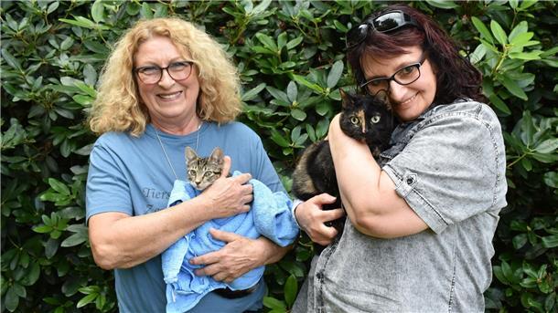 Zwei Frauen halten eine kleine und eine große Katze im Arm.