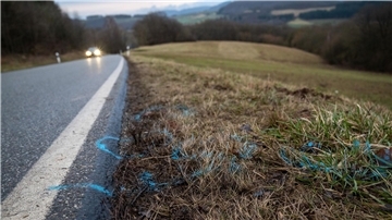 Markierungen wurden am Rand der Kreisstraße 22 zwischen den Orten Mayweilerhof und Ulmet (Rheinland-Pfalz) aufgetragen. Dort wurden Anfang 2022 eine Polizistin und ein Polizist bei einer Verkehrskontrolle erschossen.