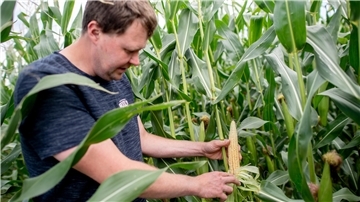 Markus Mushardt aus Otterndorf, Landwirt und Betreiber eines Ferienhofs, kontrolliert auf einem Feld die angebauten Maispflanzen. Mushardt ist in der Kategorie „Ackerbau“ für die Auszeichnung „Landwirt des Jahres“ nominiert. 