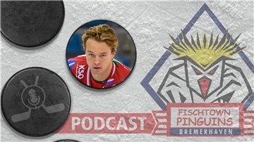 Grafik mit Puck, Gesicht und Logo der Fischtown Pinguins