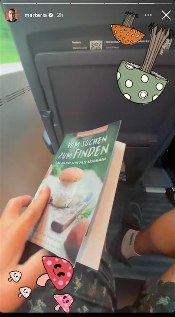 Backstage beim Deichbrand-Festival: Was posten die Stars auf Social Media? Marteria liest ein Pilz-Buch.