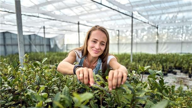 Der Matcha-Boom: Vorreiterin setzt auf deutschen Teeanbau Matcha-Anbauerin: Ursprünglich kommt Kühnle aus dem Weinbau.