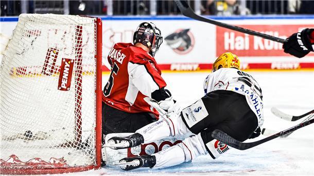 Pinguins stehen im Viertelfinale schon mit dem Rücken zur Wand Ein Eishockeyspieler schießt im Fallen ein Tor für die Fischtown Pinguins gegen die Kölner Haie.