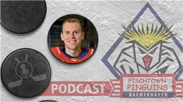 Maxi Franzreb bleibt bei den Fischtown Pinguins.