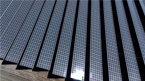 Mehrere Umweltverbände fordern eine möglichst rasche Verabschiedung eines Gesetzespakets zum Ausbau der Sonnenenergie.