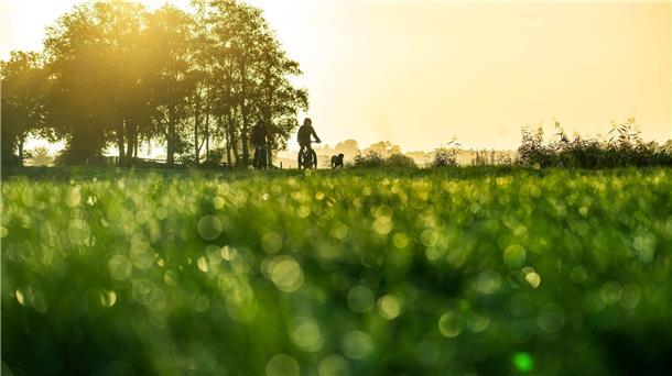 Wolkenreiches und mildes Wetter zum Start der Herbstferien Mildes Herbstwetter für die kommenden Tage prognostiziert der DWD - die Sonne bleibt aber rar.