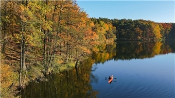 Mit dem Kajak über den Trepliner See in Brandenburg: Am Ufer leuchtet der Wald in den schönsten Herbstfarben.