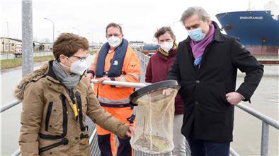 Mit dem Projekt Seabin können täglich bis zu 4 Kilo Plastikmüll aus dem Hafenwasser gefischt werden. Darüber freuen sich (von links): Häfensenatorin Claudia Schilling sowie Stephan Rademacher, Katja Pape und Robert Howe von Bremenports.