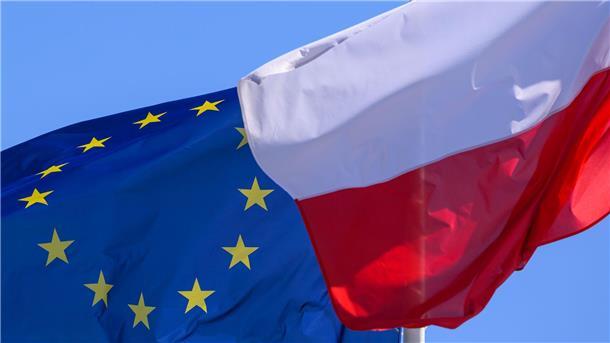 Polen beginnt Grenzkontrollen - und nun? Mit den Kontrollen reagiert Warschau auf das verschärfte deutsche Grenzregime. (Illustration)